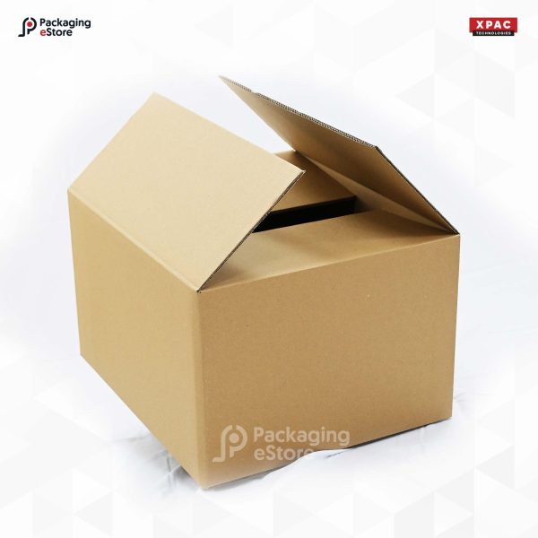 Corrugated Carton Box